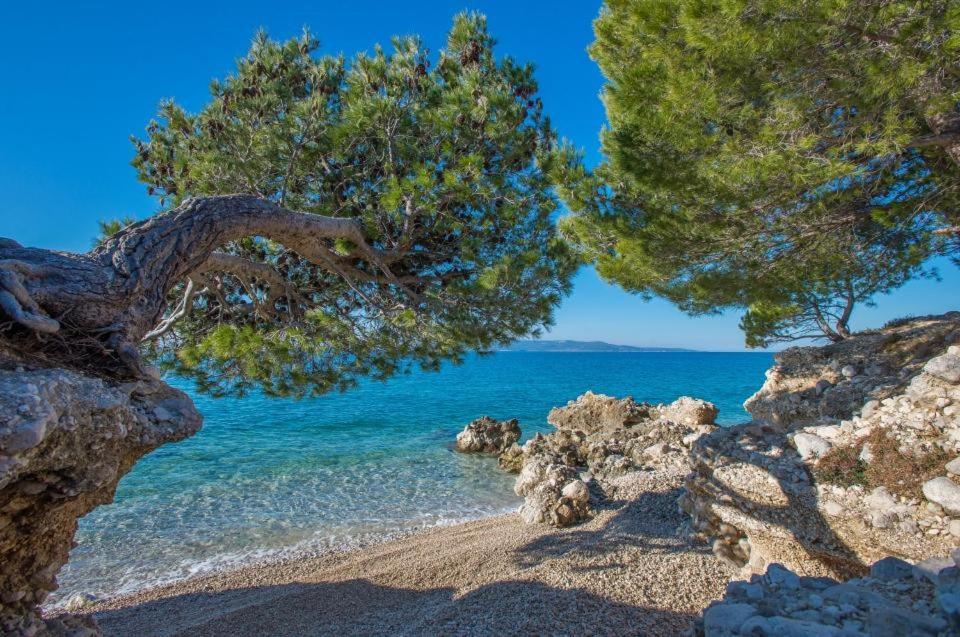 Apartments Kovacic Makarska Exteriör bild
